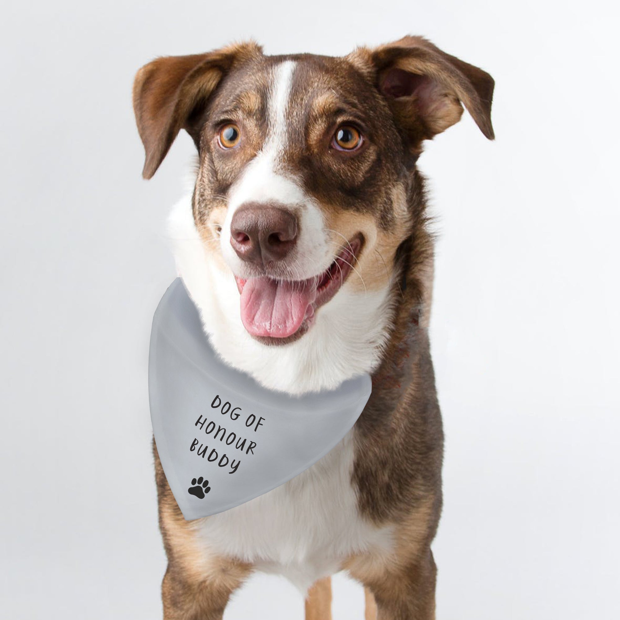 Image of grey personalised dog bandana which can be customised with your own text