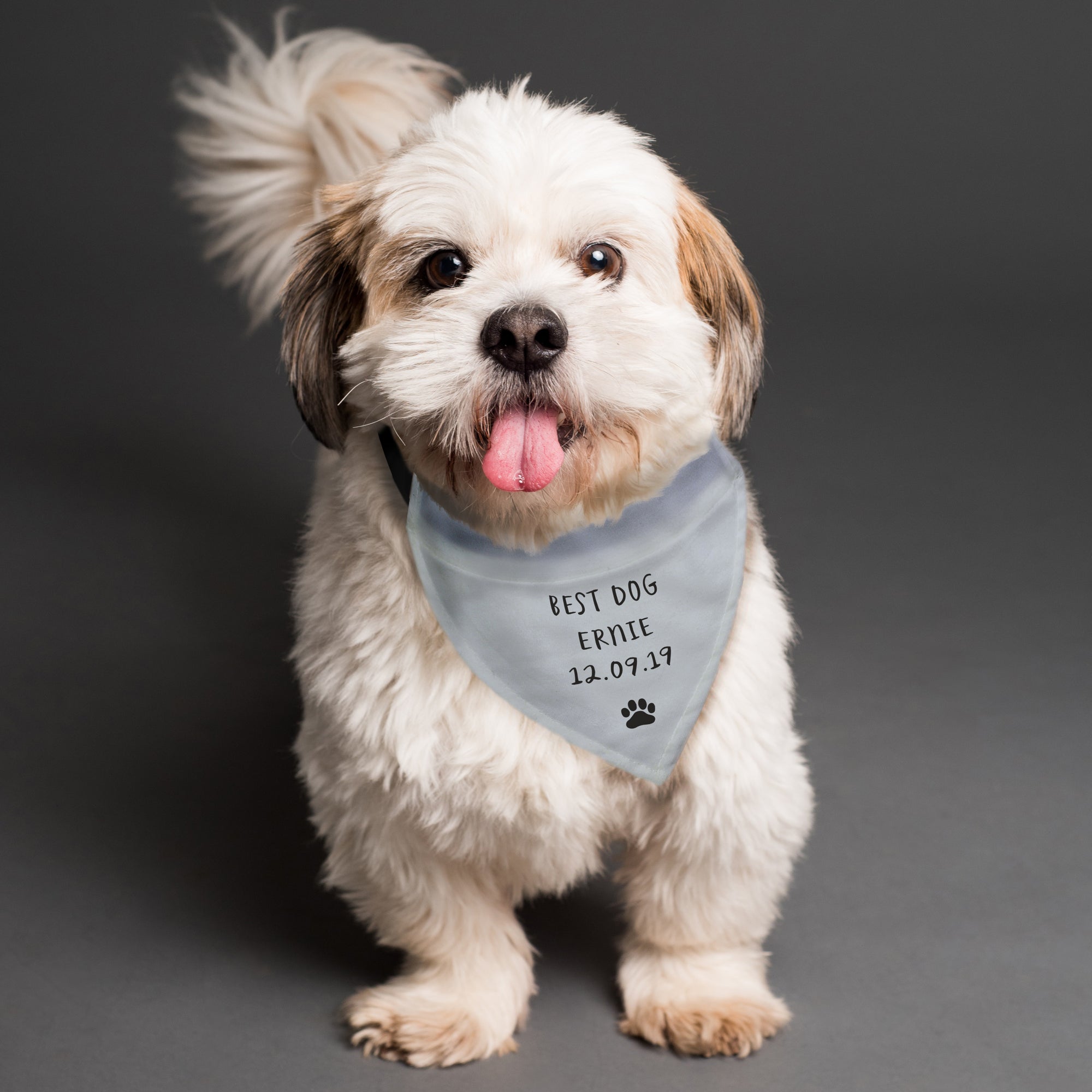 Image of grey personalised dog bandana which can be customised with your own text