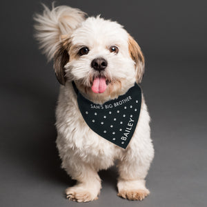 Image of dog wearing a personalised black dog bandana with small white paw prints