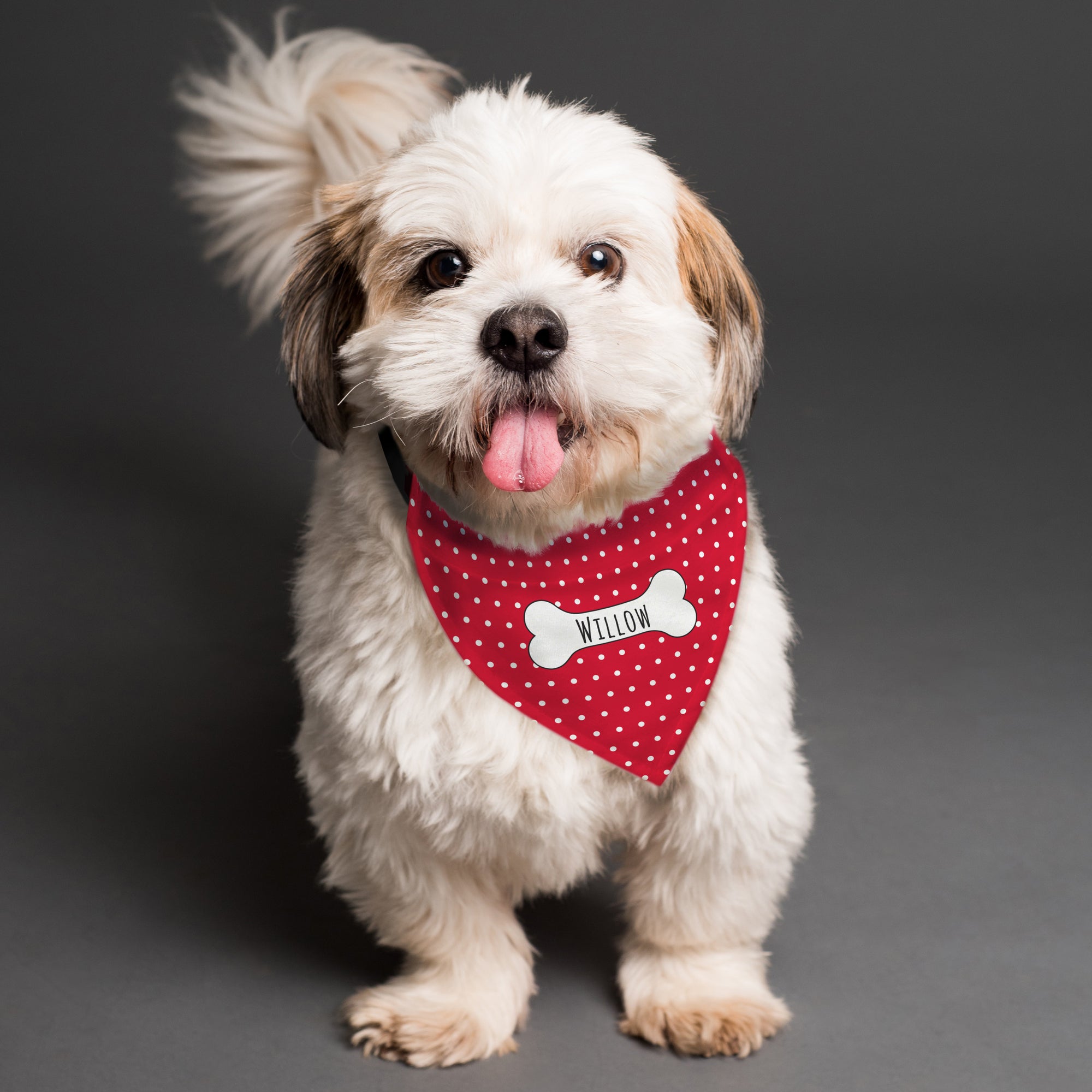 Image of a dog wearing a red polka dot bandana which can be personalised with a name