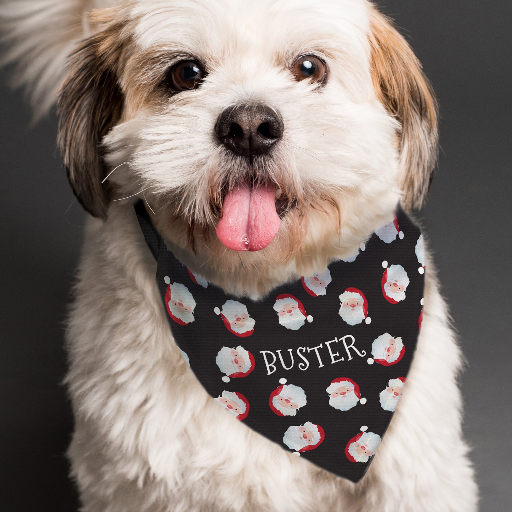 Image of a small dog wearing a personalised dog bandana around it's neck.  The bandana has a black background and has lots of smaller smiling Santa faces printed on it.  The middle of the bandana has space for a name of your choice to be printed in white upper case letters.  The bandana has a black strap which measures up to 43 cm long so it is suitable for small and medium sized dogs.